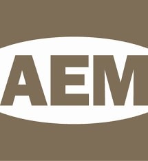 AEM Logo